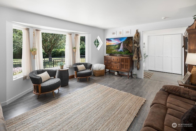 living room featuring dark wood-type flooring and plenty of natural light