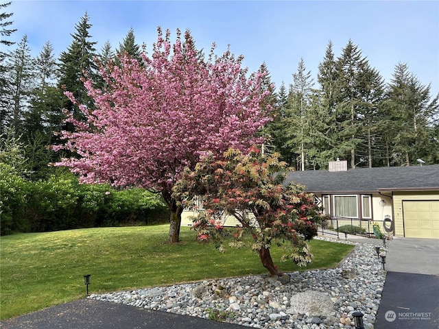 view of front facade with a front lawn and a garage