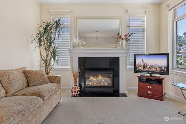 living room with carpet floors