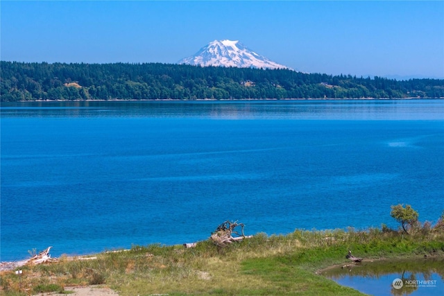 water view with a mountain view