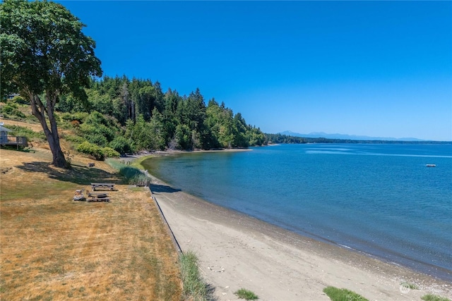 water view featuring a beach view