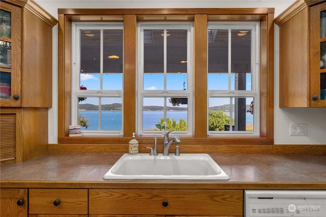 kitchen with a water view, sink, and dishwashing machine