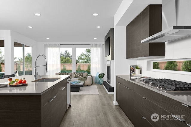 kitchen with light hardwood / wood-style flooring, stainless steel appliances, wall chimney range hood, sink, and dark brown cabinets