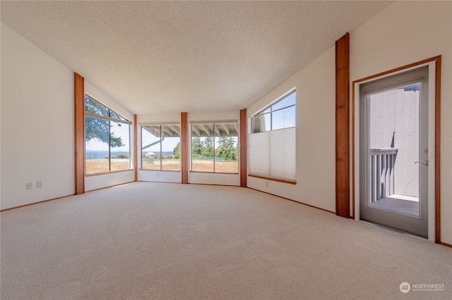 unfurnished room with a textured ceiling, carpet flooring, and a healthy amount of sunlight