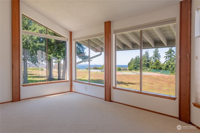 unfurnished sunroom with vaulted ceiling and a wealth of natural light