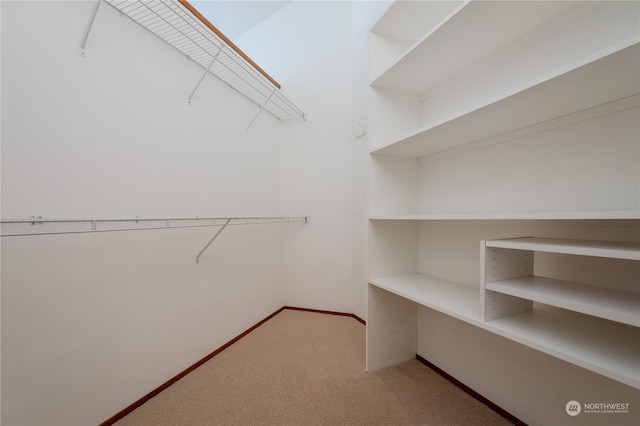 spacious closet with carpet flooring