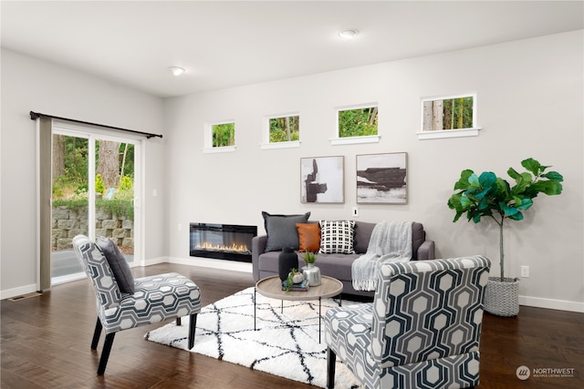 living room with dark hardwood / wood-style floors