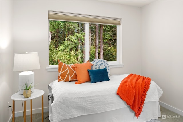 view of carpeted bedroom