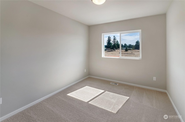 spare room with carpet floors