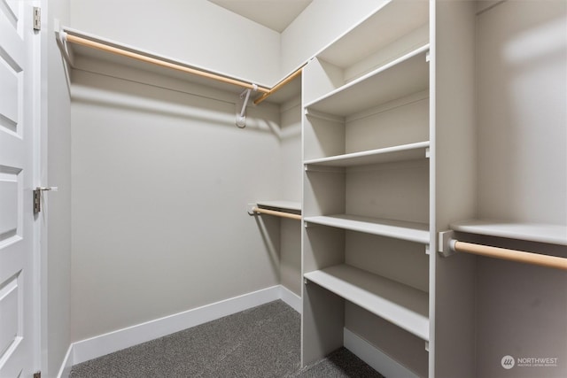 spacious closet featuring carpet