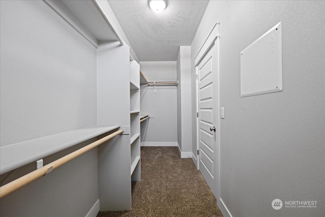 spacious closet with dark colored carpet