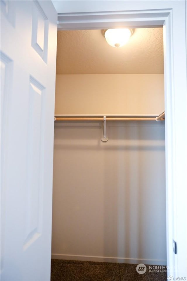 spacious closet featuring dark colored carpet