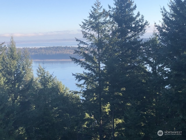 2948 Dogwood Ter, Lummi Island WA, 98262 land for sale