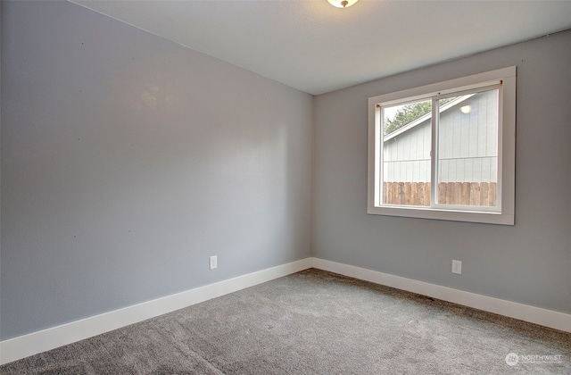 unfurnished room featuring carpet