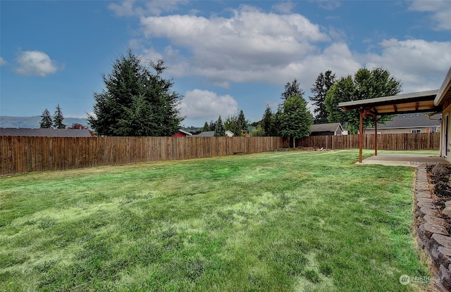 view of yard with a patio area