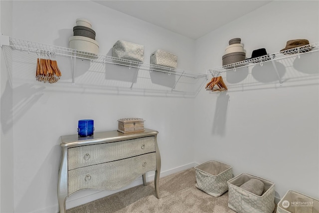 spacious closet featuring carpet flooring