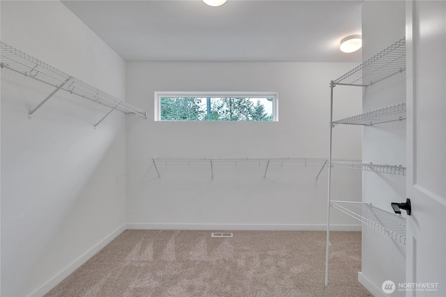16224 76th Avenue Ct E, Puyallup, WA 98375 - spacious closet featuring carpet
