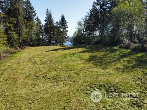 Listing photo 3 for 0 Morris Blvd, Steilacoom WA 98388