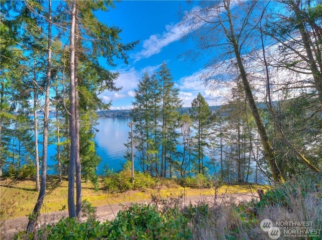 0 Morris Blvd, Steilacoom WA, 98388 land for sale