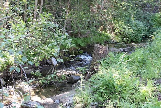 view of nature with a water view