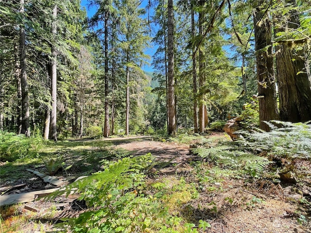 view of landscape featuring a forest view