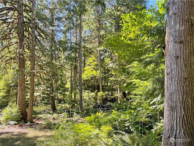 view of nature with a forest view
