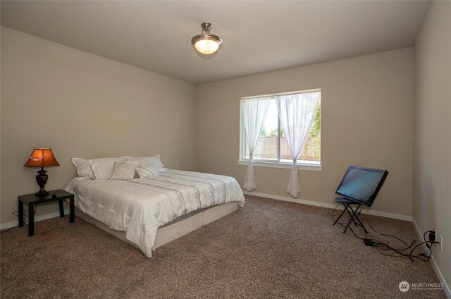 view of carpeted bedroom