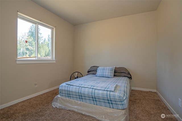 bedroom featuring carpet