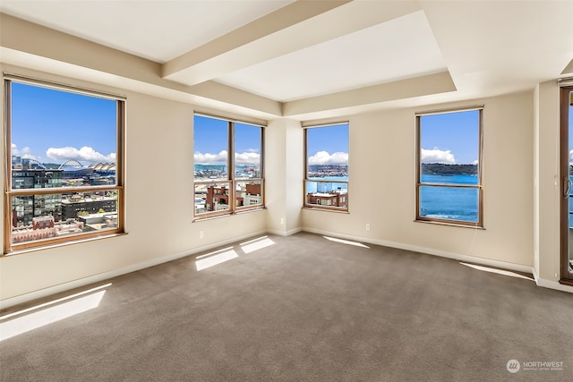 empty room featuring carpet, plenty of natural light, and a water view