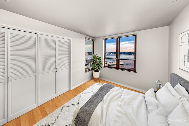 bedroom featuring a closet, a water view, and light wood-type flooring