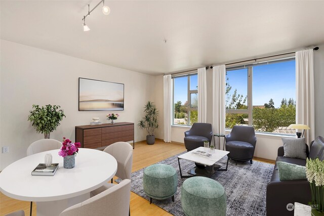 living room featuring track lighting and light hardwood / wood-style floors