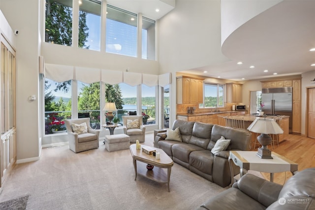 living room with a high ceiling and sink