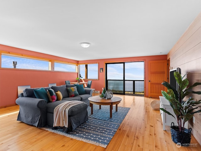 living room with light hardwood / wood-style flooring