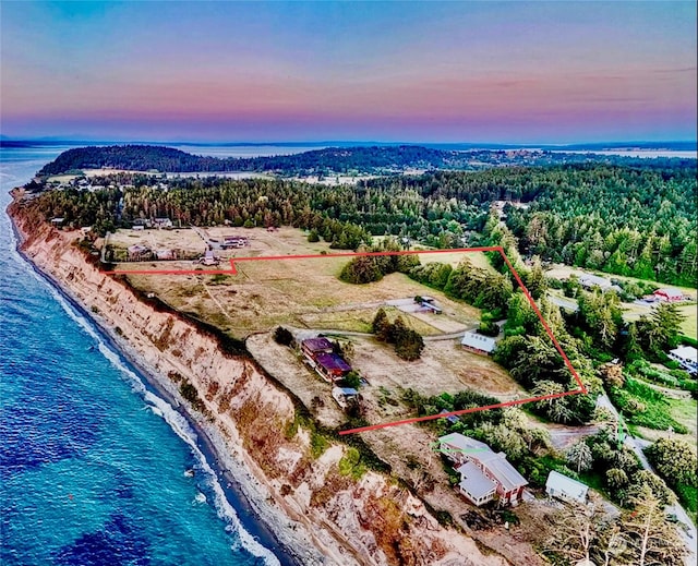 drone / aerial view featuring a wooded view and a water view