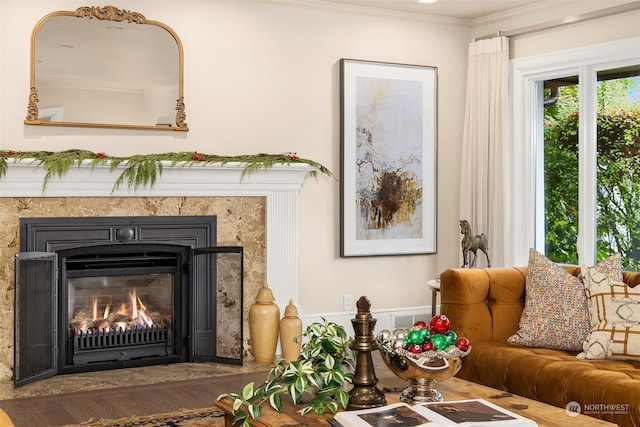 room details featuring hardwood / wood-style flooring, a premium fireplace, and ornamental molding