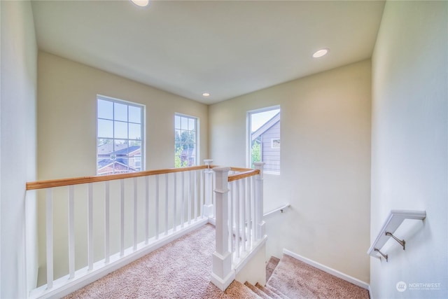 stairway featuring carpet flooring