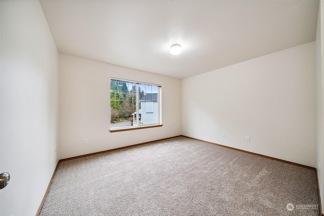 spare room featuring carpet floors