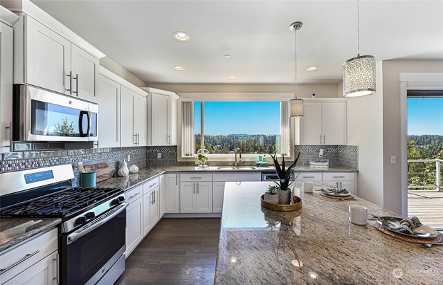 kitchen with stainless steel appliances, dark wood-type flooring, hanging light fixtures, and plenty of natural light