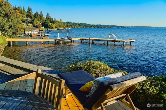 dock area with a water view