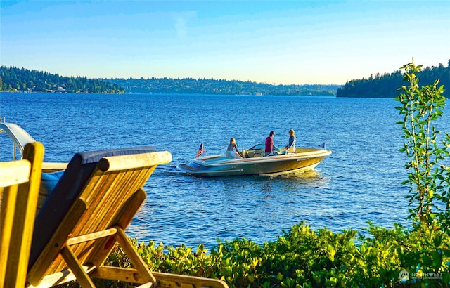 view of dock with a water view