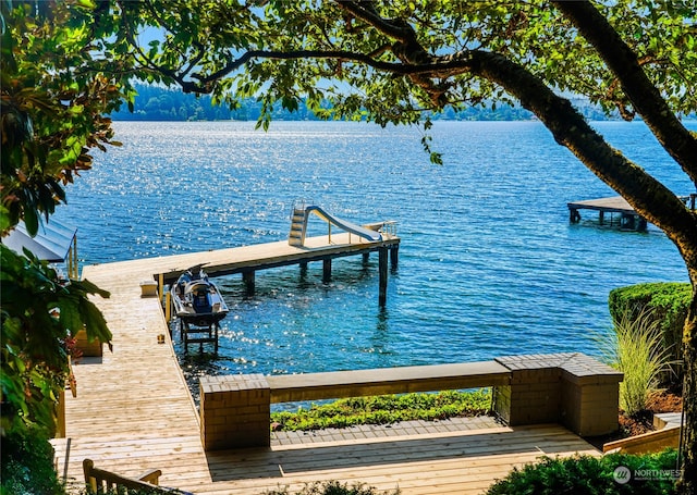 dock area with a water view