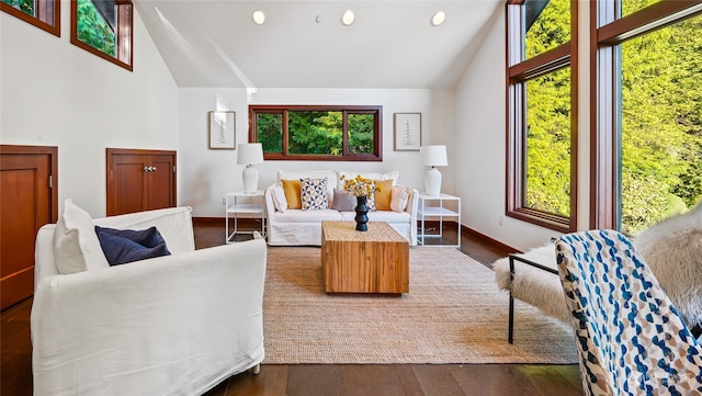 living room featuring high vaulted ceiling and dark hardwood / wood-style flooring