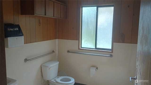 bathroom featuring toilet and plenty of natural light