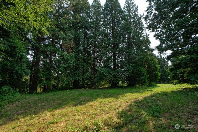 0 Kickerville Rd, Blaine, WA 98248