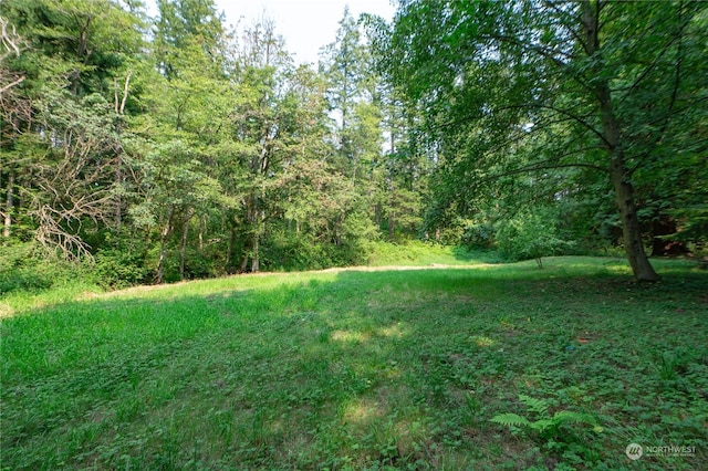 0 Kickerville Rd, Blaine, WA 98248