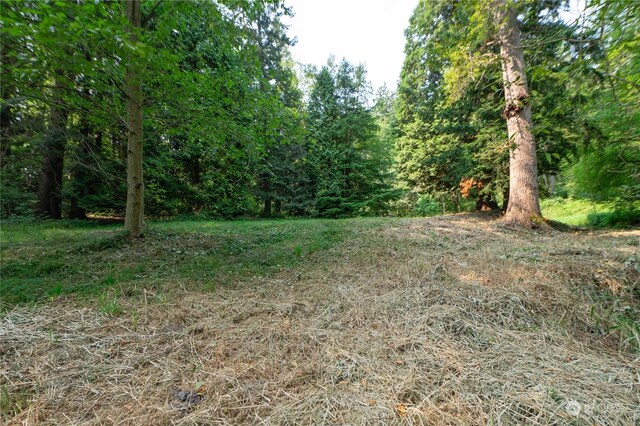 0 Kickerville Rd, Blaine, WA 98248