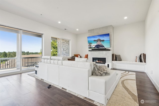 living room featuring dark hardwood / wood-style flooring