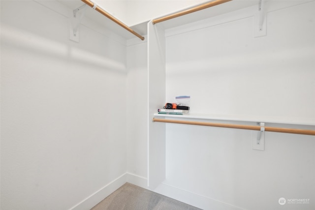 walk in closet featuring carpet floors