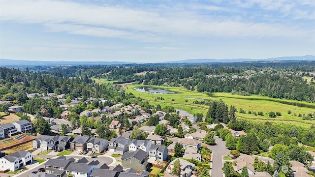 bird's eye view