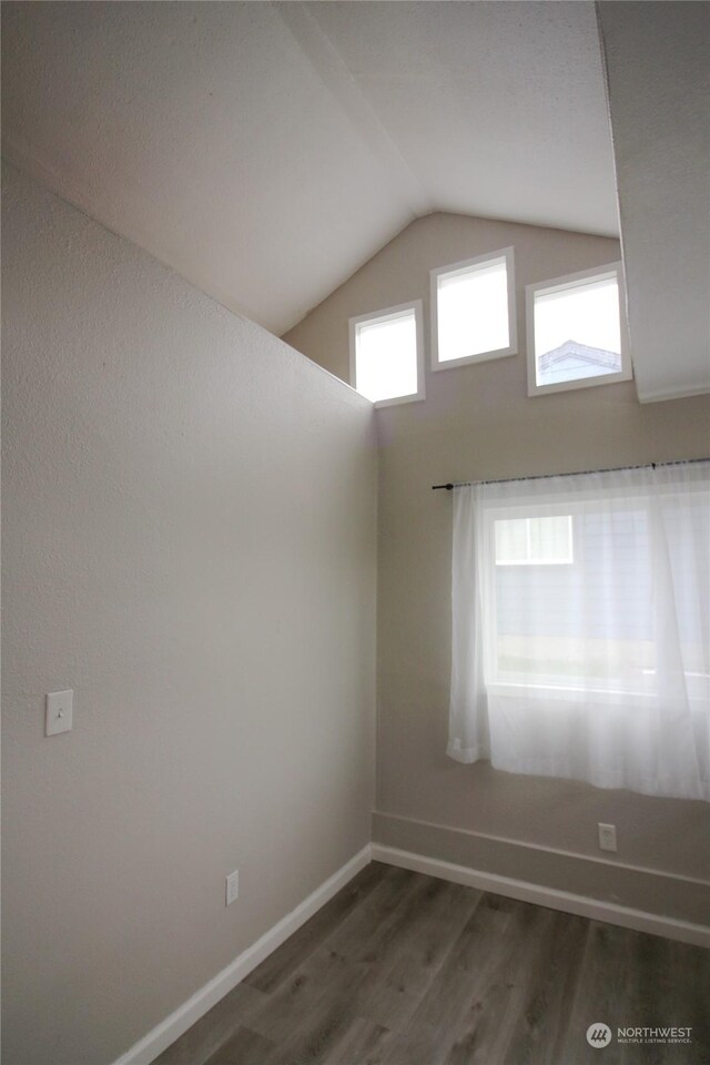 spare room with hardwood / wood-style flooring, lofted ceiling, and a healthy amount of sunlight